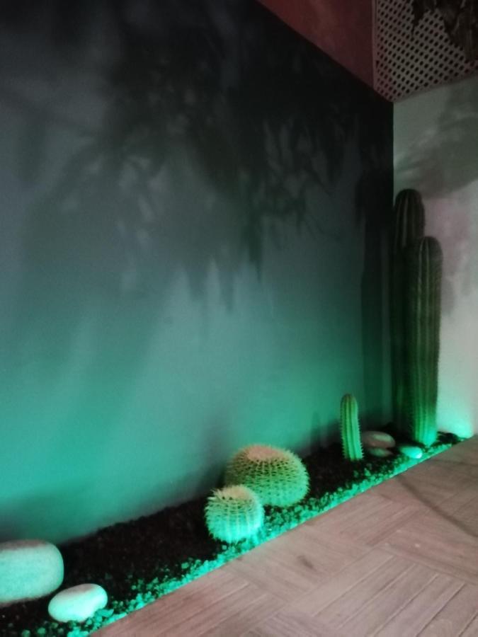 サンタクルスデテネリフェ Casa Guadalupe Y Roqueヴィラ エクステリア 写真